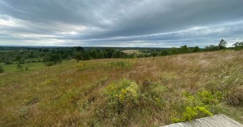 A scenic view of rolling hills and fields under a cloudy sky, with tall grass in the foreground.
