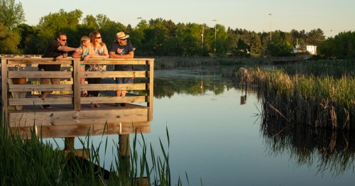 A group of four people stands on a wooden dock, looking out over a calm, reflective pond surrounded by greenery.
