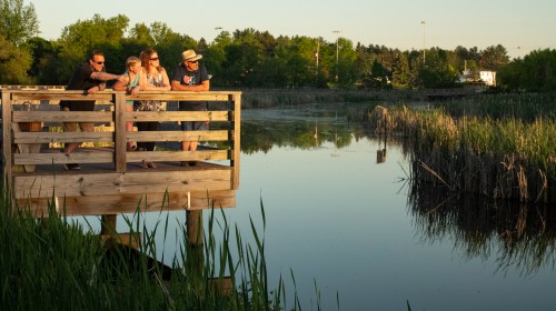 A group of four people stands on a wooden dock, looking out over a calm pond surrounded by greenery at sunset.