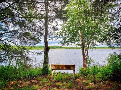 A wooden bench by a serene lake, surrounded by trees and lush greenery under a partly cloudy sky.