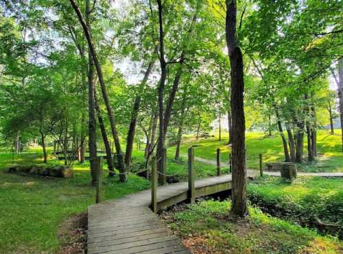 A wooden bridge crosses a small stream, surrounded by lush green trees and a sunny, peaceful landscape.