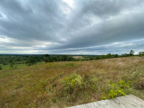 A panoramic view of a grassy landscape under a cloudy sky, with rolling hills in the distance.
