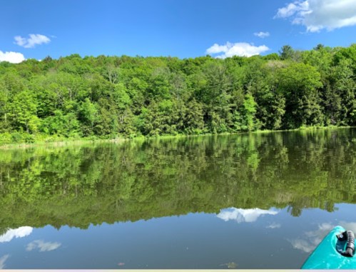 A serene lake surrounded by lush green trees, reflecting the blue sky and clouds above.