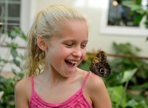 A smiling girl with blonde hair has a butterfly perched on her shoulder in a lush, green setting.