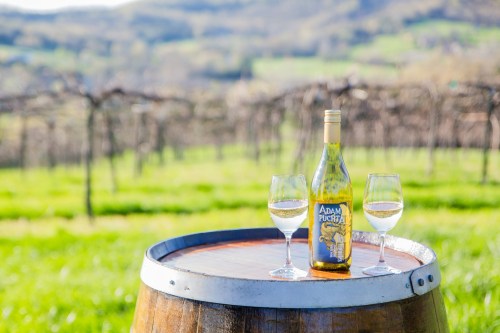 A bottle of wine and two glasses sit on a wooden barrel, with a lush vineyard in the background.