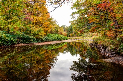 A serene river reflects vibrant autumn foliage along its banks, surrounded by lush greenery and rocky edges.