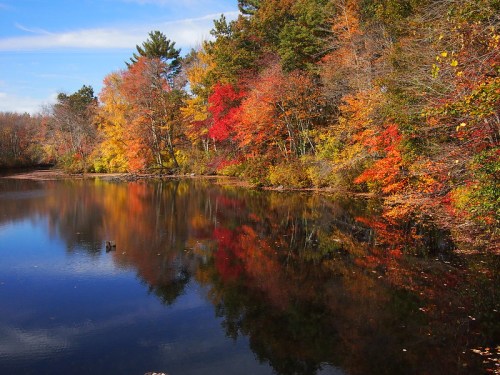 A serene lake reflecting vibrant autumn foliage in shades of red, orange, and yellow under a clear blue sky.
