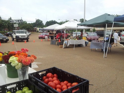 A bustling farmers market with tents, fresh produce, and shoppers in a parking lot on a sunny day.