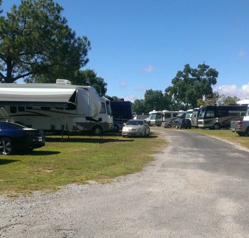 A row of parked RVs and cars on a grassy area under a clear blue sky with scattered clouds.