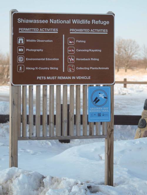 Sign at Shiawassee National Wildlife Refuge listing permitted and prohibited activities, with a snowy landscape in the background.