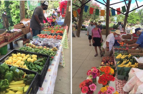A vibrant farmers market with fresh produce, flowers, and shoppers browsing various stalls under a shaded pavilion.