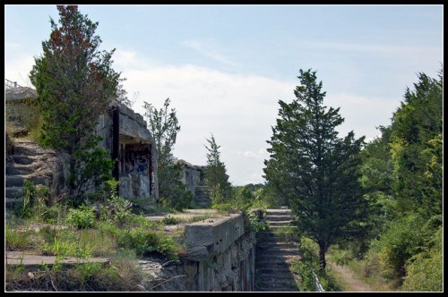 Abandoned concrete structures overgrown with vegetation, surrounded by trees under a clear blue sky.