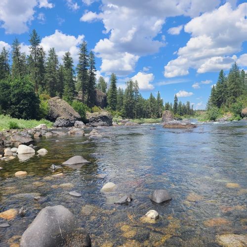 A serene river flows through a rocky landscape, surrounded by lush green trees and a bright blue sky with fluffy clouds.