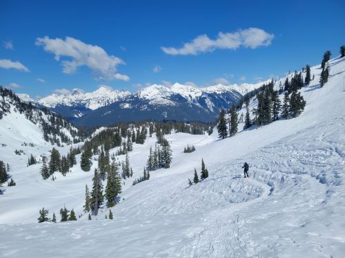 A snowy mountain landscape with a person walking through the snow, surrounded by evergreen trees and distant peaks.