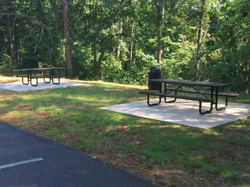 Two picnic tables on concrete pads in a wooded area, surrounded by grass and trees. A trash can is nearby.