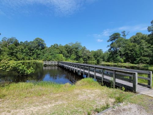 A wooden bridge extends over a calm pond, surrounded by lush greenery and a clear blue sky.