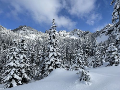 A snowy landscape with tall evergreen trees and majestic mountains under a blue sky with scattered clouds.