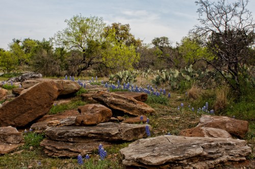 A scenic landscape featuring large rocks, blooming bluebonnets, and lush greenery under a cloudy sky.