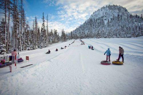 A snowy hill with people sledding on inner tubes, surrounded by tall trees and a mountain in the background.