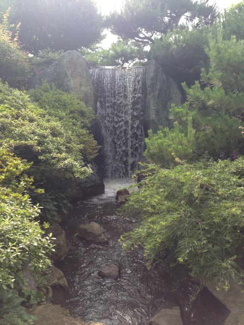 A serene waterfall cascading over rocks, surrounded by lush greenery and plants.