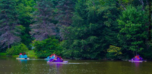 People in colorful paddle boats enjoy a serene lake surrounded by lush green trees.