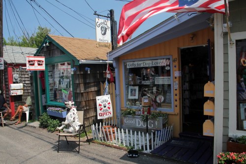 Quaint street scene featuring colorful shops, a dog-themed store, and a welcoming open sign.