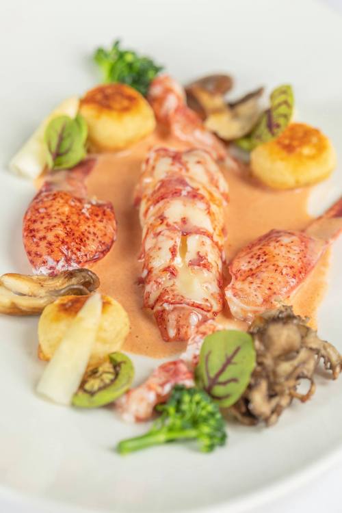 A gourmet dish featuring lobster, mushrooms, and vegetables, elegantly arranged with a creamy sauce.