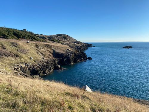 A coastal landscape with rocky cliffs, clear blue water, and a grassy shoreline under a clear sky.