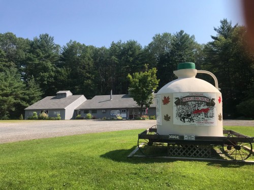 A large maple syrup container in front of a gray building surrounded by trees and green grass.
