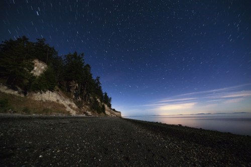 A serene beach at night with star trails above, surrounded by trees and a calm sea reflecting soft light.