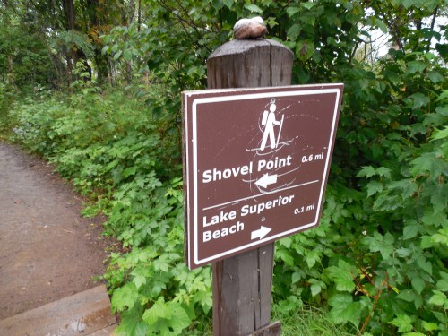Trail sign indicating directions to Shovel Point (0.6 mi) and Lake Superior Beach (0.1 mi) amidst greenery.