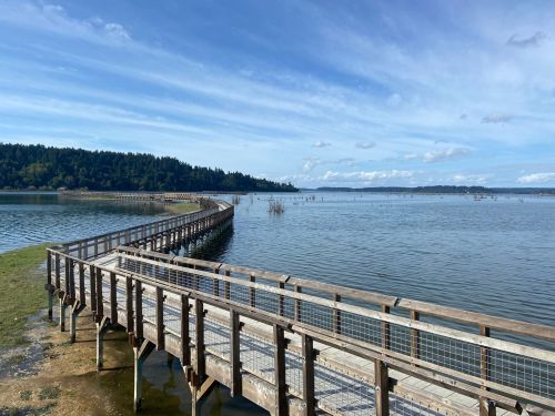 A wooden boardwalk extends over calm water, surrounded by trees and a blue sky with scattered clouds.