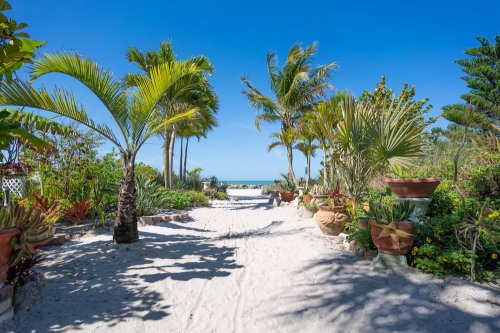 A sandy path lined with tropical plants and palm trees leads to a beach under a clear blue sky.
