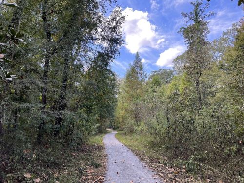 A winding gravel path through a lush green forest under a partly cloudy sky.