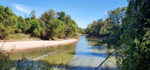 A serene river flows through lush greenery under a clear blue sky, with sandy banks and scattered trees along the shore.
