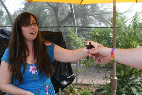 A woman in a blue floral dress holds out her arm as someone offers her a butterfly under a yellow umbrella.