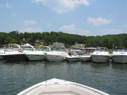 A view of several boats docked in a marina, with green hills and houses in the background under a blue sky.