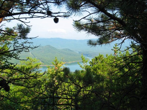 A scenic view of a lake surrounded by green mountains, framed by pine trees and a clear blue sky.