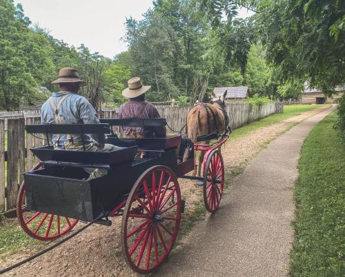 Two people in hats ride in a horse-drawn carriage along a gravel path, surrounded by greenery and wooden fences.