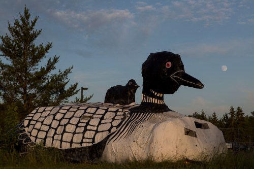 A large, whimsical sculpture of a loon with a smaller loon on its back, set against a clear sky and trees.