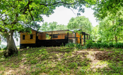 A modern wooden cabin surrounded by trees, featuring a large deck and glass walls, set in a lush green landscape.