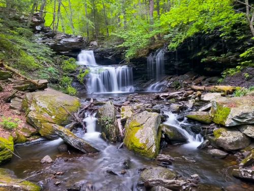 A serene waterfall cascades over rocks, surrounded by lush green trees in a tranquil forest setting.