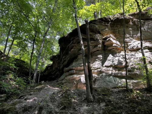A rocky cliff surrounded by lush green trees in a forested area. Sunlight filters through the leaves.