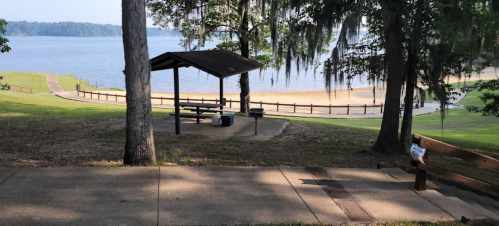 A serene lakeside view featuring a picnic shelter, sandy beach, and trees with Spanish moss.
