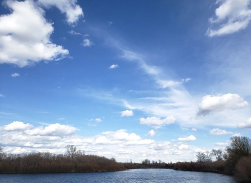 A serene river scene under a blue sky filled with fluffy clouds and trees lining the banks.