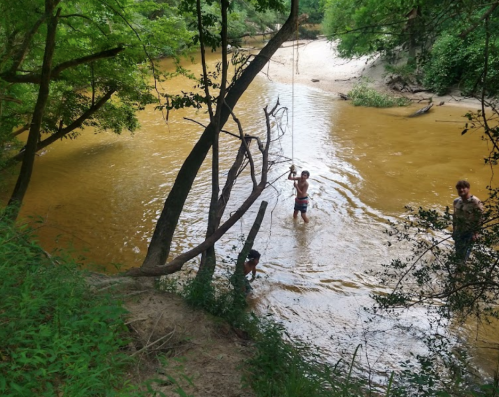 Children playing in a muddy river, surrounded by trees and greenery, with one swinging from a rope.