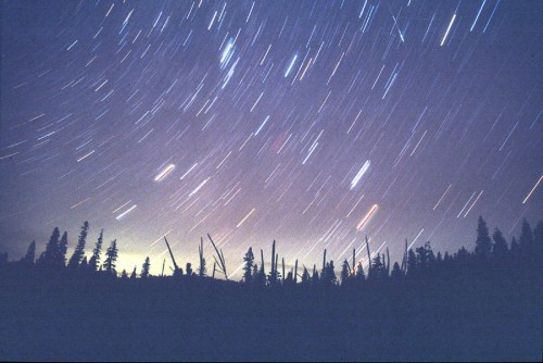 A starry night sky with streaks of light, silhouetted trees in the foreground, creating a serene, cosmic landscape.