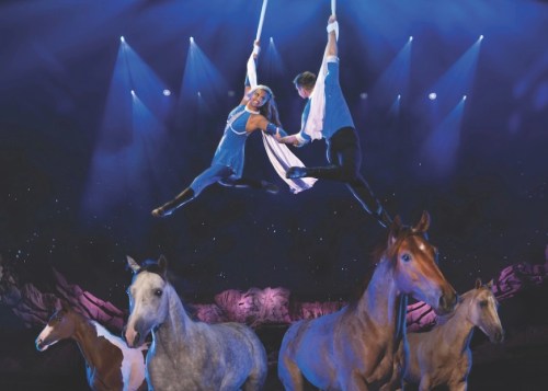 Aerial performers in blue costumes swing above horses on stage, illuminated by colorful lights.