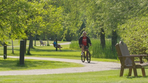 A person rides a bicycle on a path in a green park, with benches and trees in the background.