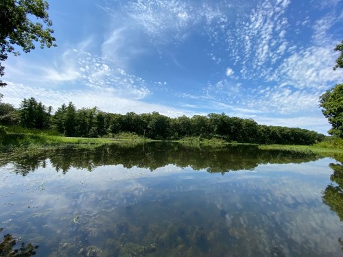 A serene lake reflecting a blue sky with clouds, surrounded by lush green trees and grass.